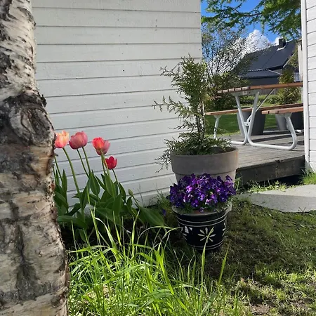 Town And Nature 2 Bedroom