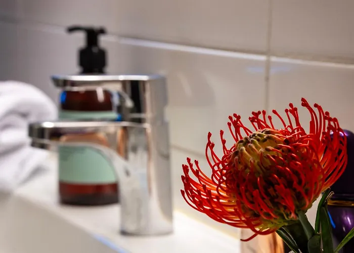 Town And Nature 2 Bedroom