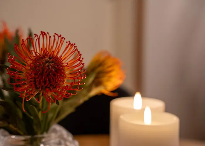 Town And Nature 2 Bedroom 아파트 트롬쇠