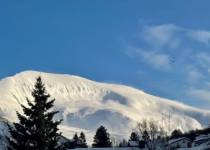 Town And Nature 2 Bedroom